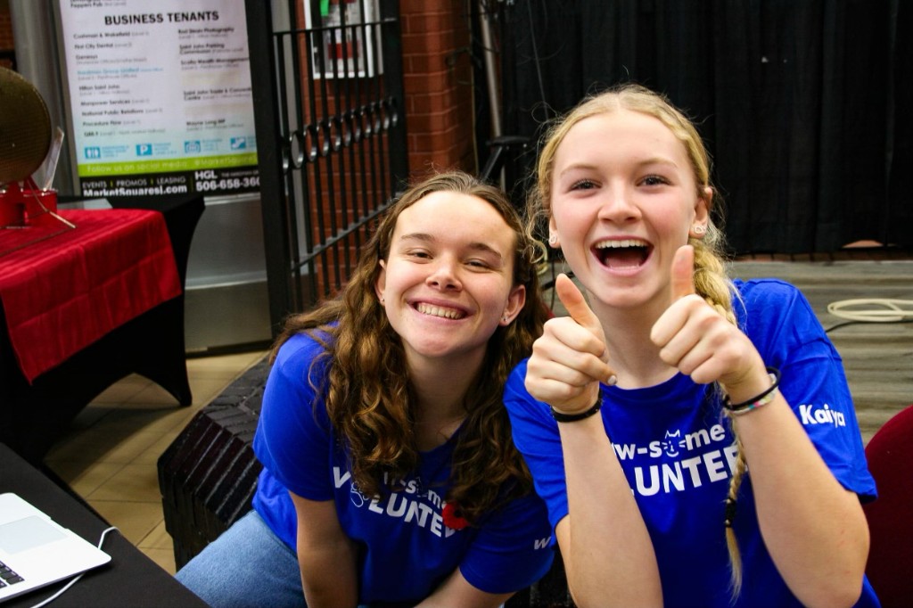 Volunteers at Cardboard for Kitty event