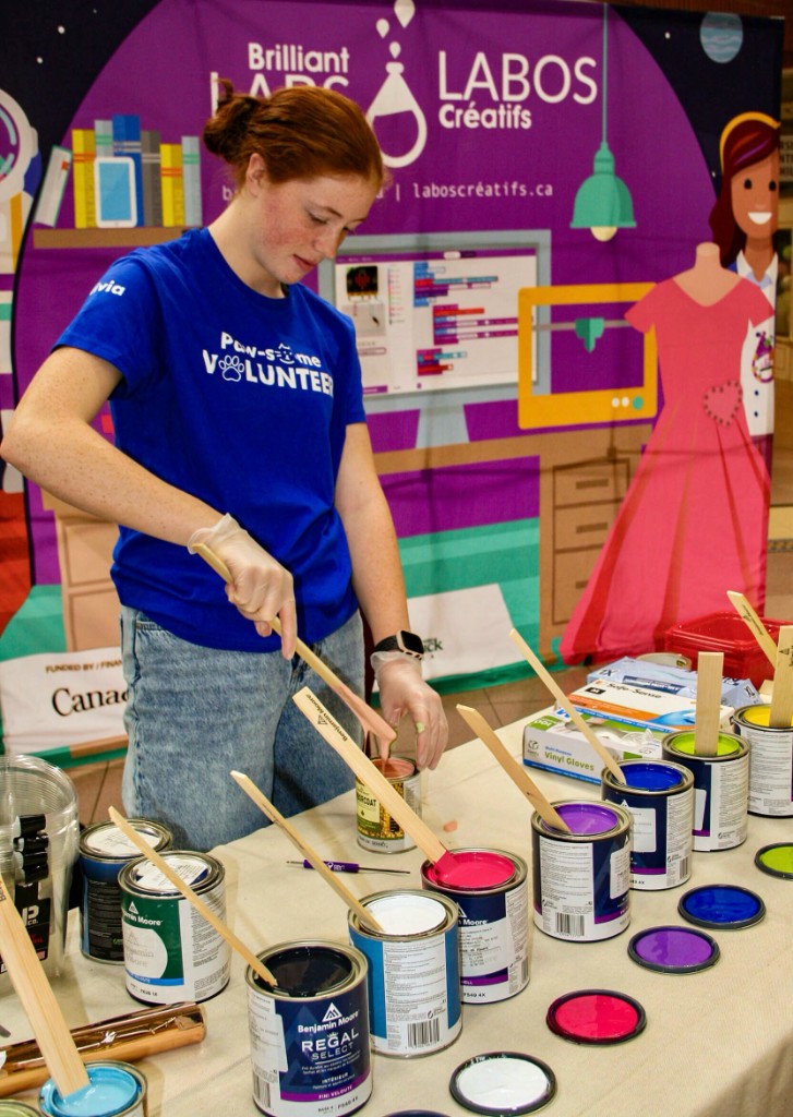 Volunteer working on activities at Cardboard for Kitty